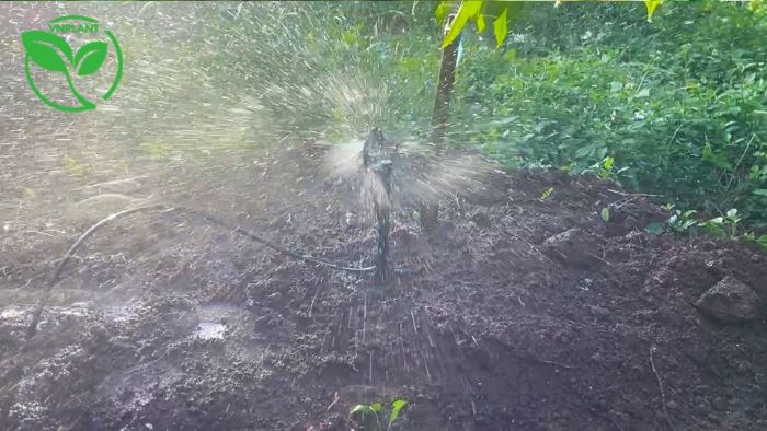 Béc tưới cây bán kinh 3m Béc tưới cây bán kinh 3m